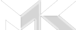 light logo